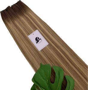 Genius Wefts 120grams 16inches T3-P4/16