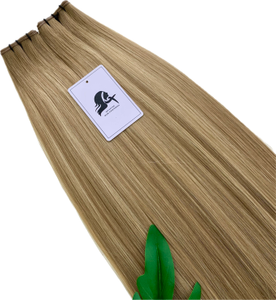 Genius Wefts 120grams 16inches T9-P9/24