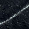 Butterfly Wefts 120grams 24inches #1  22inch wide