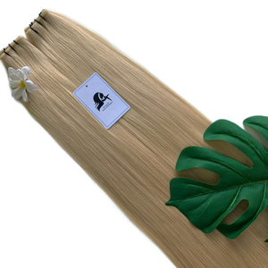 Butterfly weft 120grams 22inches #22