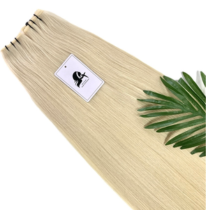 Gennius Wefts 120grams 28inches #60A